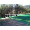 HDPE Agriculture Fruit/Olive Net/Harvest Nets/Collection/Collecting Net